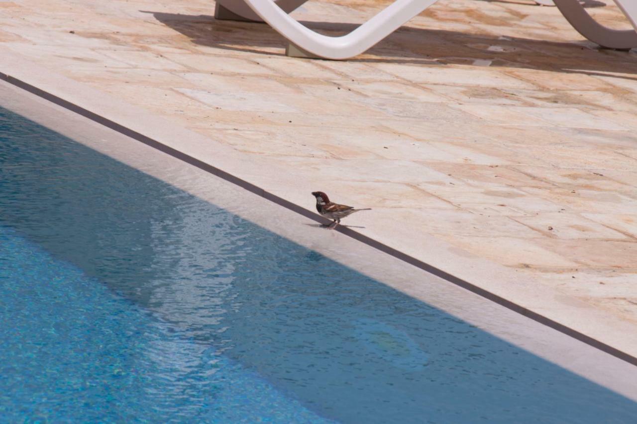Casale Salento Bed & Breakfast Nardo Bagian luar foto