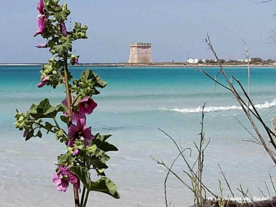 Casale Salento Bed & Breakfast Nardo Bagian luar foto